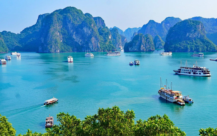 Điều cấm ở biển Nha Trang, người dân và du khách cần biết - Ảnh 4.