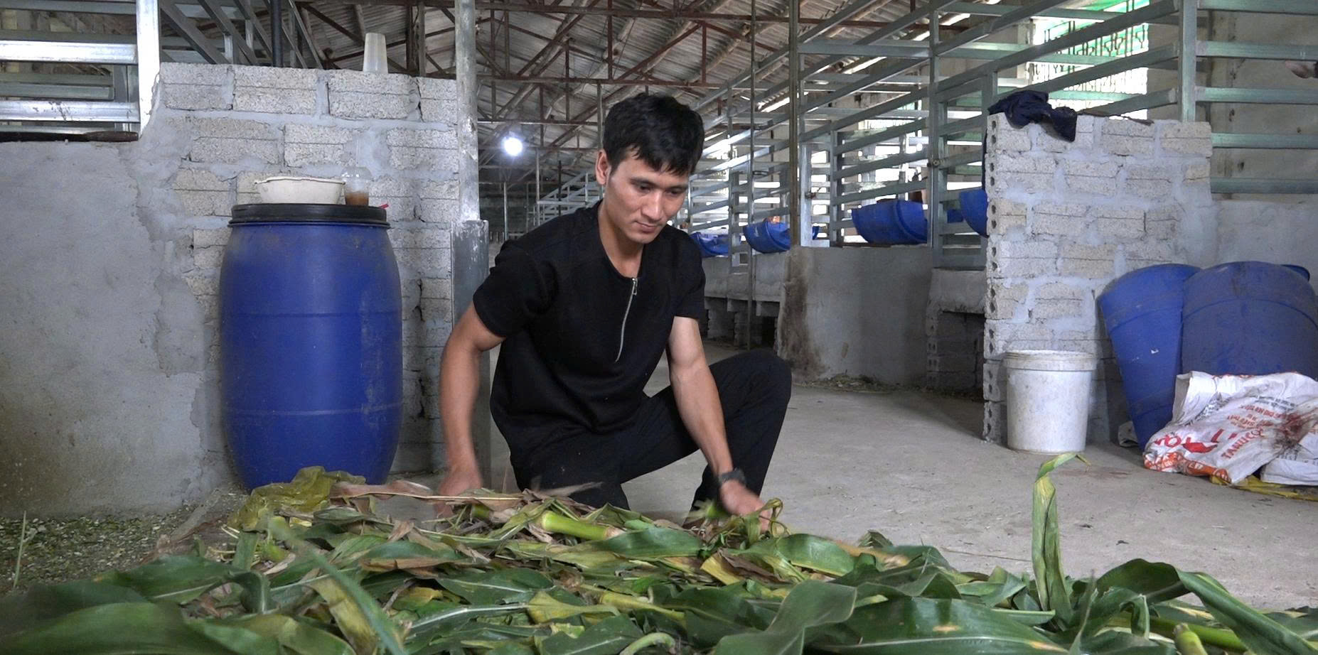 Chàng kỹ sư đam mê thuần hóa loài động vật hoang dã có nhung- Ảnh 1. Chàng kỹ sư đam mê thuần hóa loài động vật hoang dã có nhung- Ảnh 1.