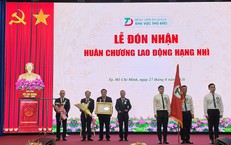 Chấn Thương Tinh Hoàn Ở Trẻ: Câu Chuyện Cứu Nạn Đầy Kịch Tính