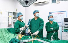 Hà Tĩnh Tăng Cường Biện Pháp Đối Phó Với Dịch Sốt Xuất Huyết Đang Gia Tăng