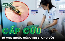 Cuộc Giải Cứu Kỳ Diệu Giữa Biển Cả: Thuyền Viên Đối Mặt Nguy Khỏe