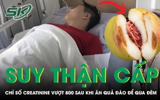 Những Mối Nguy Hiểm Từ Sự Tấn Công Của Đàn Ong Vò Vẽ