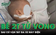 Cảnh Báo Về Nguy Cơ Suy Thận Sau Khi Ăn Đào Qua Đêm