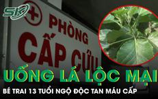 Phát Hiện Sớm Bệnh Tim Mạch: Tầm Quan Trọng và Phương Pháp Phòng Ngừa