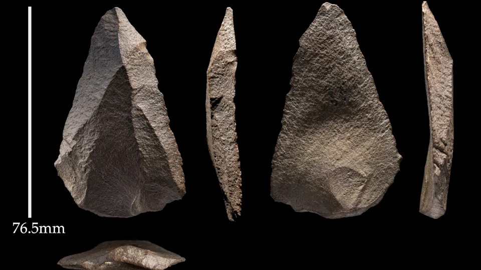 Những Dấu Ấn Mới Về Lịch Sử Di Cư Của Người Neanderthal 55.000 Năm Trước