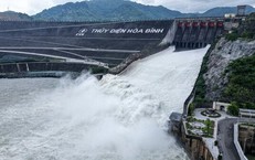 Phản Ứng Kịp Thời Giữa Bão Số 4: Cứu Nạn Xuồng Máy Nạn Nhân