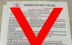 Những Khu Vực Rủi Ro Ngập Úng Trong Mùa Mưa Đỉnh Điểm