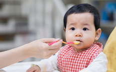 Mướp Đắng: Lợi Ích và Nhóm Người Cần Thận Trọng Khi Sử Dụng