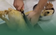 Thời Điểm Vàng Để Tăng Cường Sức Khỏe Gan: Cần Biết Điều Gì?