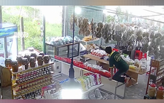 Hiểu Về Ung Thư Máu: Những Điều Cần Biết Để Không Thất Vọng