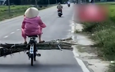 Nguy Cơ Tử Vong Do Bệnh Dại: Câu Chuyện Cảm Động Của Bé Gái 9 Tuổi