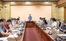 Hà Tĩnh Tiếp Nhận Số Ca Bệnh Sốt Xuất Huyết Mới: Thông Tin Cập Nhật