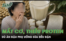 Nguy Cơ Sức Khỏe Từ Thói Quen Ăn Thịt Chó: Câu Chuyện Cảnh Tỉnh Đáng Lo Ngại
