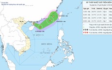 Lộ Trình Hoàn Thành Dự Án Vành Đai 1 Trước Ngày Khai Trương