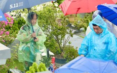 Nắng Nóng Kéo Dài Tại Miền Trung: Những Điều Cần Biết