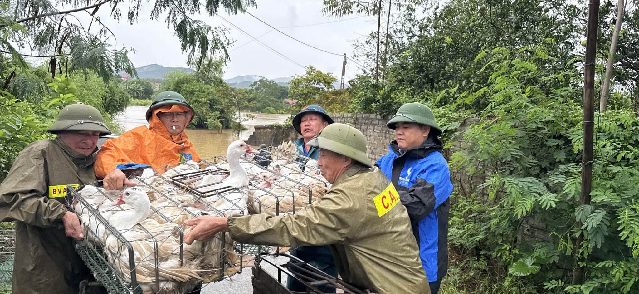bac-ninh-mua-17877979086782008170739 Thiệt hại do mưa lũ ở các địa phương tiếp tục tăng- Ảnh 1.