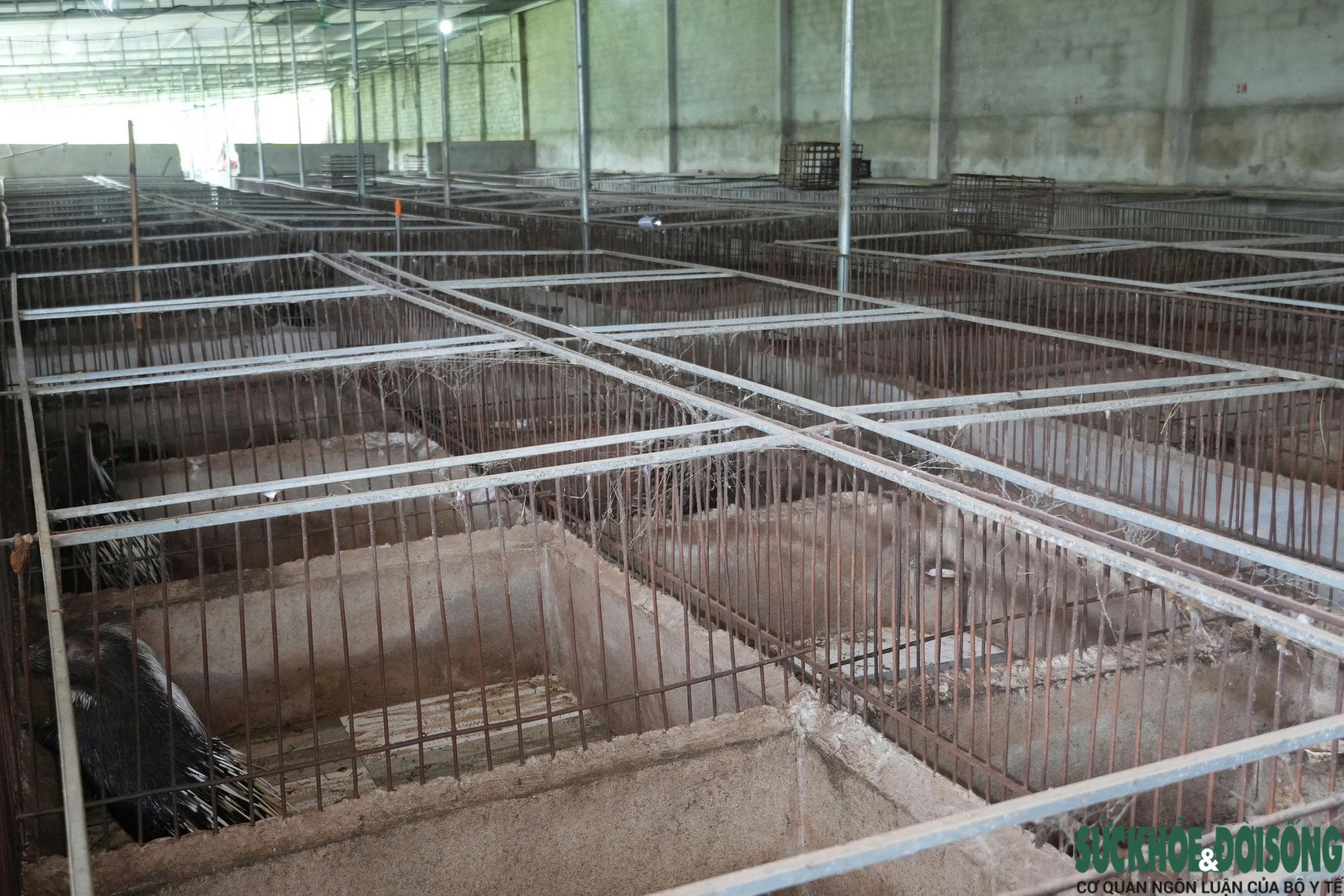 Hệ thống chuồng nuôi được ông Ái xây dựng kiên cố Hệ thống chuồng nuôi được ông Ái xây dựng kiên cố