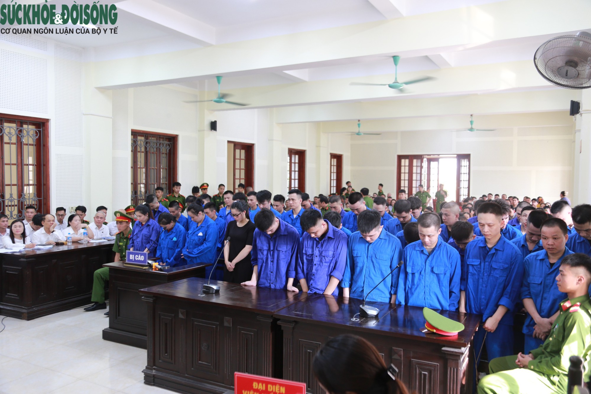Vụ Án Lừa Đảo Qua Mạng: 48 Người Bị Kết Án Trong Cuộc Chiến Chống Tội Phạm
