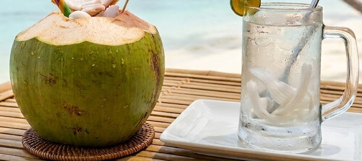 Nước Dừa và Sốt Xuất Huyết: Những Thông Tin Cần Nhớ Khi Bù Nước