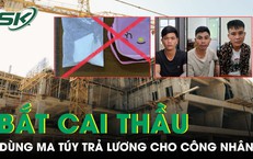 Hành Động Tự Nguyện Đáng Khen Của Người Dân Hà Tĩnh Giao Nộp Rùa Núi Vàng Quý Hiếm