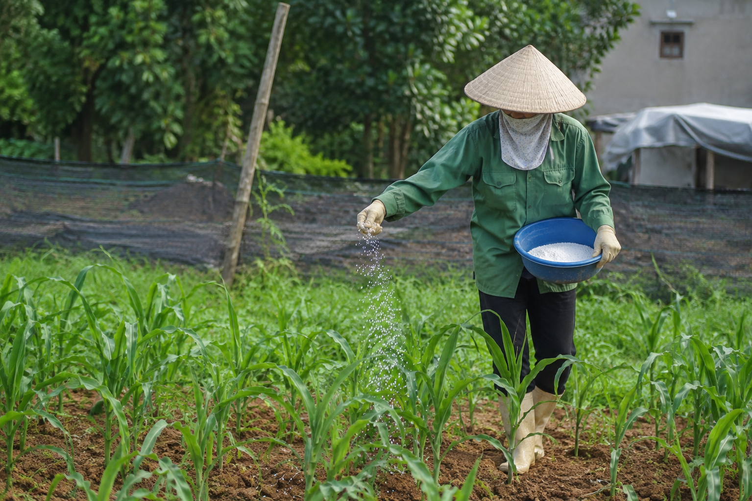 Nguyên Tắc Quan Trọng Để Bảo Đảm An Toàn Khi Tiếp Xúc Hóa Chất Mỗi Ngày