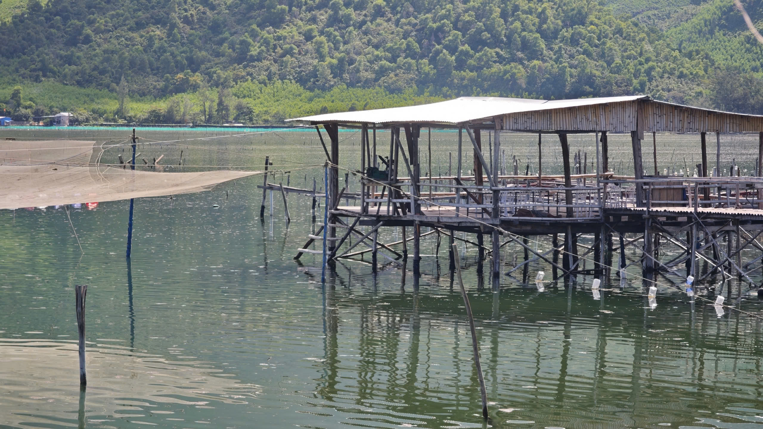 he-sinh-thai-dam-lap-an-phuc-hoi-3-17868827521201393491271 Hệ sinh thái đầm Lập An trước khi phục hồi - Ảnh 4.