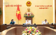 Lễ Tưởng Niệm Chủ Tịch Hồ Chí Minh: Hành Trình Tôn Vinh Lãnh Tụ Vĩ Đại