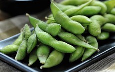 Bí Quyết Giúp Bạn Chăm Sóc Gan Mỗi Ngày Hiệu Quả