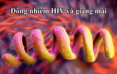 Giải Pháp Tăng Cường Sinh Lý Nam: Lựa Chọn An Toàn và Hiệu Quả