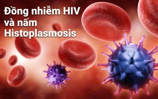Phát Hiện Virus HPV: Nguy Cơ và Giải Pháp Phòng Ngừa