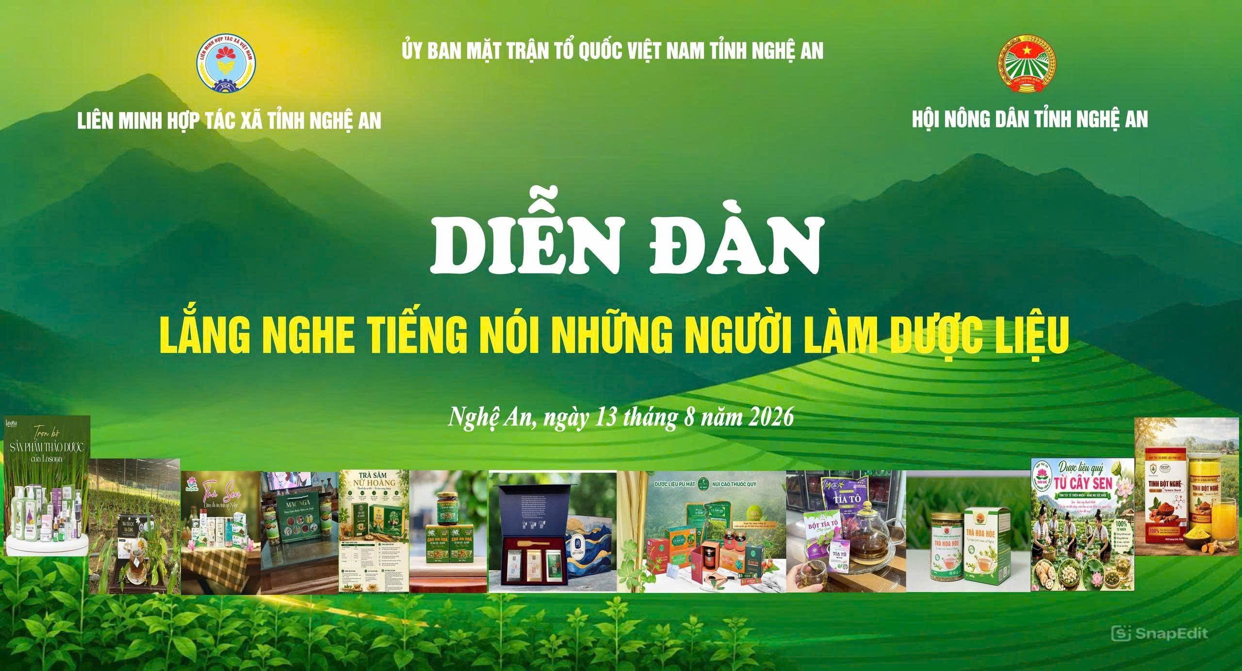duoc-lieu-1786619008594283815888 Nghệ An: Tháo gỡ khó khăn, phát triển ngành dược liệu theo hướng bền vững- Ảnh 1.