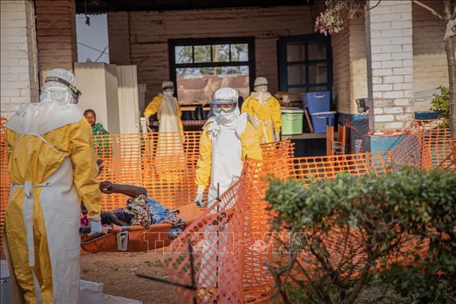 Tình Hình Dịch Ebola Tại CHDC Congo: Thách Thức Và Giải Pháp Cần Thiết