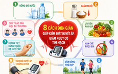Khám Phá 4 Món Ăn Giàu Kali Hỗ Trợ Tim Mạch và Hệ Thần Kinh