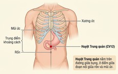 Bảo Vệ Đôi Mắt Khỏi Căng Thẳng Do Sử Dụng Màn Hình Thường Xuyên