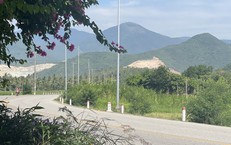 Thực Trạng Căng Thẳng Tại Trường Học: Nữ Hiệu Trưởng Và Những Hệ Lụy