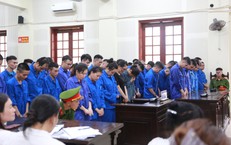Vợ Chồng Phú Lê Bị Khởi Tố Trước Những Hành Vi Vi Phạm Nghiêm Trọng