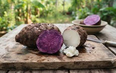 Tại sao hệ tiêu hóa là yếu tố quyết định sự phát triển toàn diện của trẻ