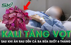 Kết Quả Khám Sức Khỏe Bất Ngờ Sau 6 Tháng Ăn Chay Chỉ Với Cá