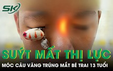 Lý Do Đằng Sau Quyết Định Hủy Chuyến Đi Nhật Của Cô Gái Trẻ