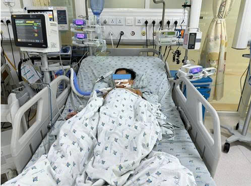 Ba trẻ em nguy kịch sau khi ăn thịt chuột đồng: Cảnh báo về ngộ độc thực phẩm