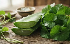 Thực Phẩm Cần Thiết Giúp Duy Trì Collagen Sau Tuổi 50