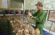 Đại học Huế Thực Hiện Rà Soát Chứng Chỉ Ngoại Ngữ Trong Xét Tuyển Năm 2026