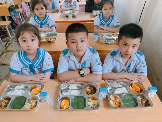 picture-17857293668691688060589 Tầm Quan Trọng Của Vi Chất Dinh Dưỡng - Ảnh 1.
