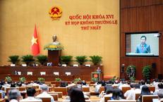 Gia Đình, Nhà Trường và Cộng Đồng: Ba Lớp Bảo Vệ Trẻ Em Trước Nguy Cơ Tai Nạn
