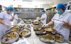 Quỹ Bảo hiểm Y tế: Cam kết tài chính cho sức khỏe cộng đồng