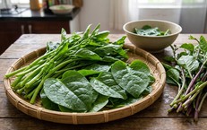 Giải Quyết Vấn Đề Chán Ăn ở Người Cao Tuổi Bằng Thảo Dược Đông Y
