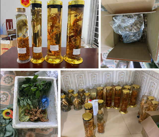 sam-ngoc-linh-tang-vat-1787676582056525629619-1787703998163-1787704001633772964389 Tang vật vụ án liên quan đến Lê Thị Thanh Hằng. - Ảnh 2.