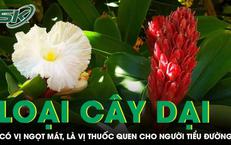 7 Thói Quen Duy Trì Tuổi Thọ Khỏe Mạnh