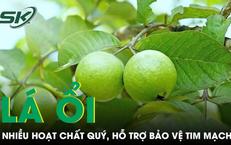 Những Triệu Chứng Cảnh Báo Nguy Hiểm Ở Trẻ Em: Câu Chuyện Của Một Bé Trai 14 Tuổi