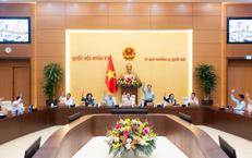 Nghi Can Được Khởi Tố Trong Vụ Án Sát Hại Nam Thanh Niên Tại Quảng Ngãi